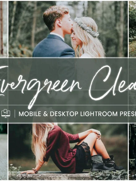 Evergreen Clean – Mobile & Desktop Lightroom Presets Graphics - Image 7