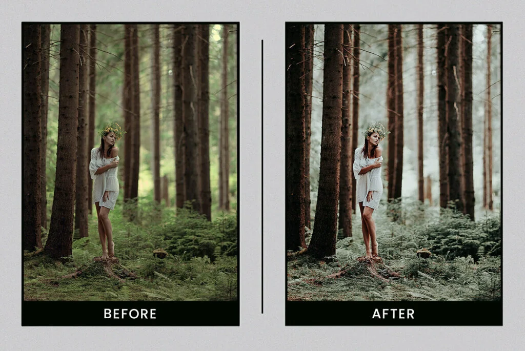 E5335_02.jpg E5335_02.jpg