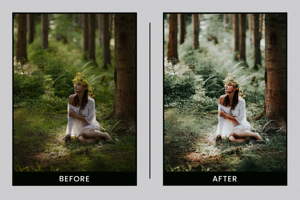 E5335_04.jpg E5335_04.jpg