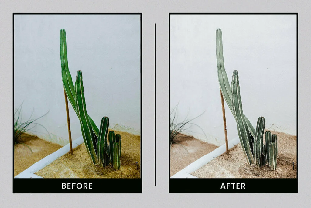 E5338_02.jpg E5338_02.jpg