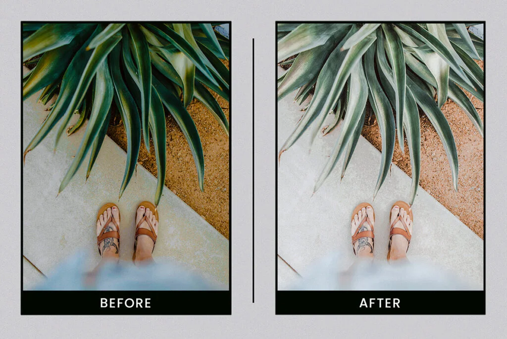 E5338_05.jpg E5338_05.jpg