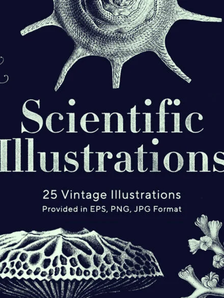 Scientific Illustrations Graphics - Image 3
