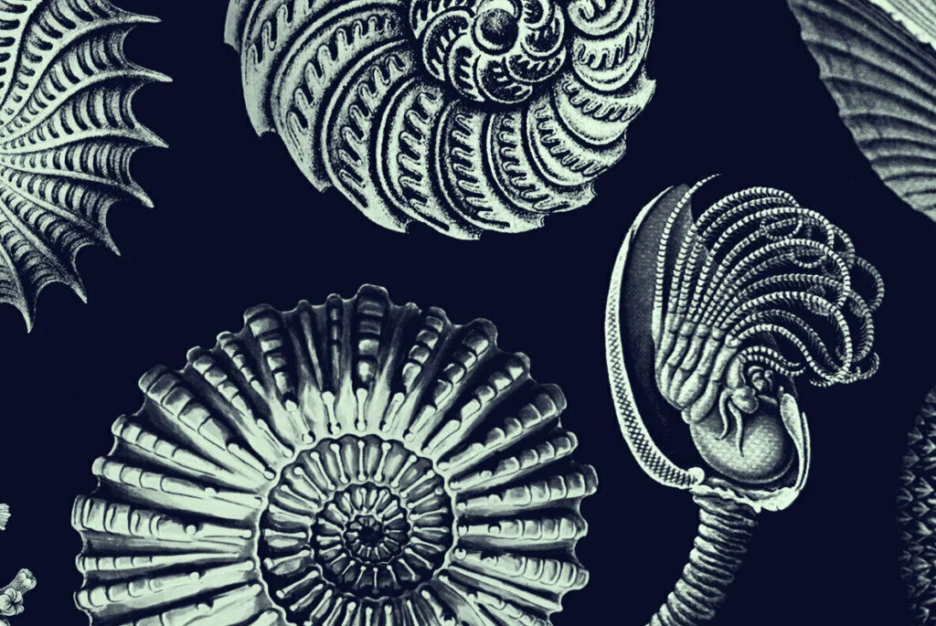 E5387_01.jpg E5387_01.jpg