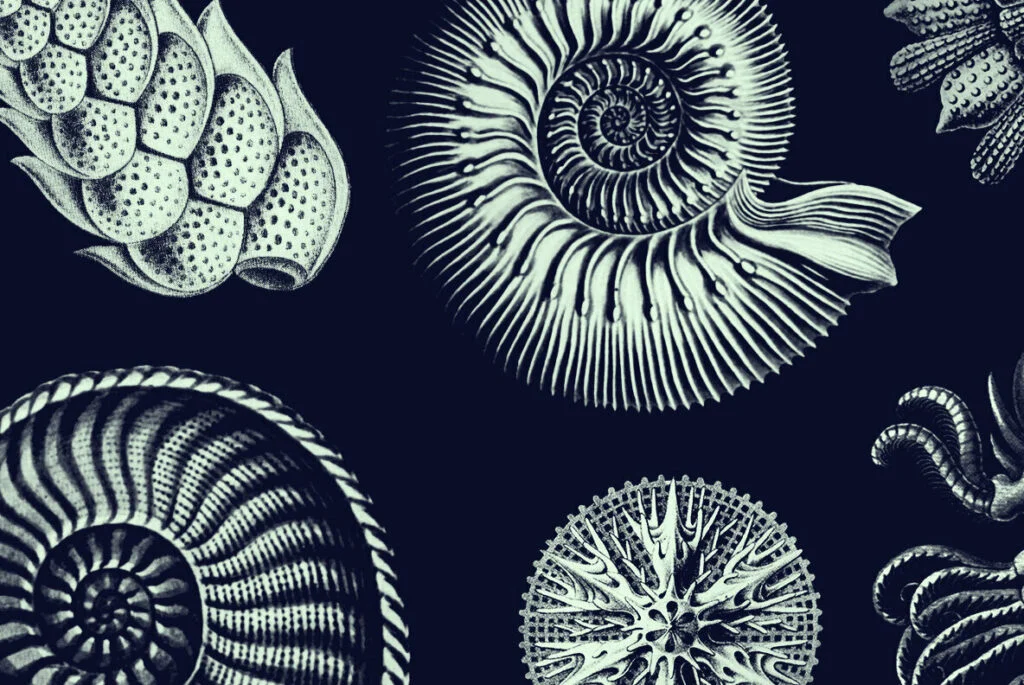 E5387_03.jpg E5387_03.jpg