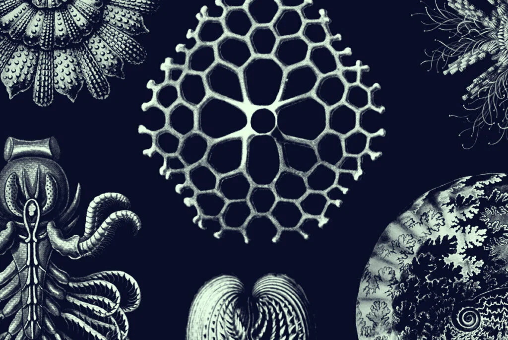 E5387_04.jpg E5387_04.jpg