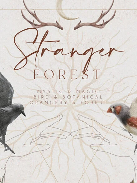 Stranger Forest Collection Graphics - Image 10