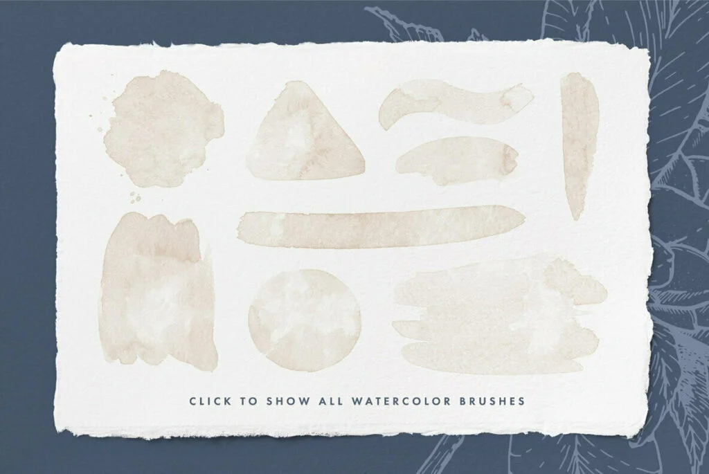 E5443_01.jpg E5443_01.jpg