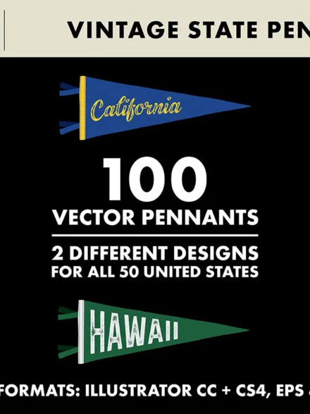 Vintage State Pennants Graphics - Image 2