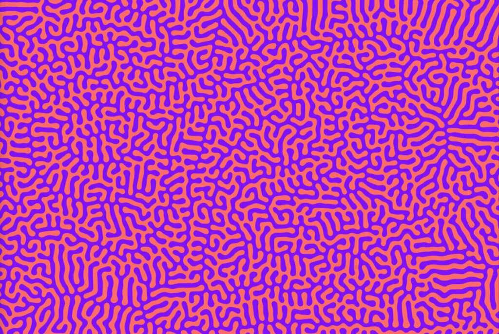 E5546_01.jpg E5546_01.jpg