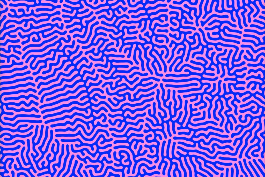 E5546_05.jpg E5546_05.jpg