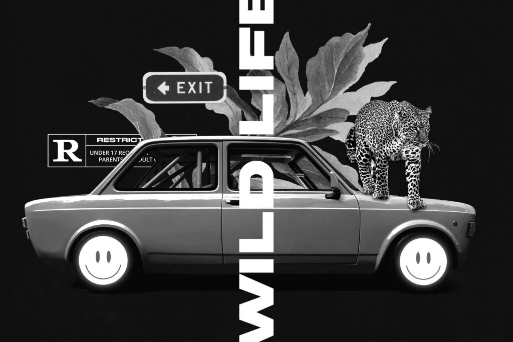 E9256_05.jpg E9256_05.jpg