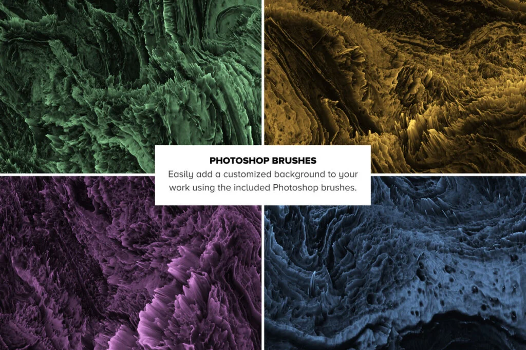 E4487_05.jpg E4487_05.jpg