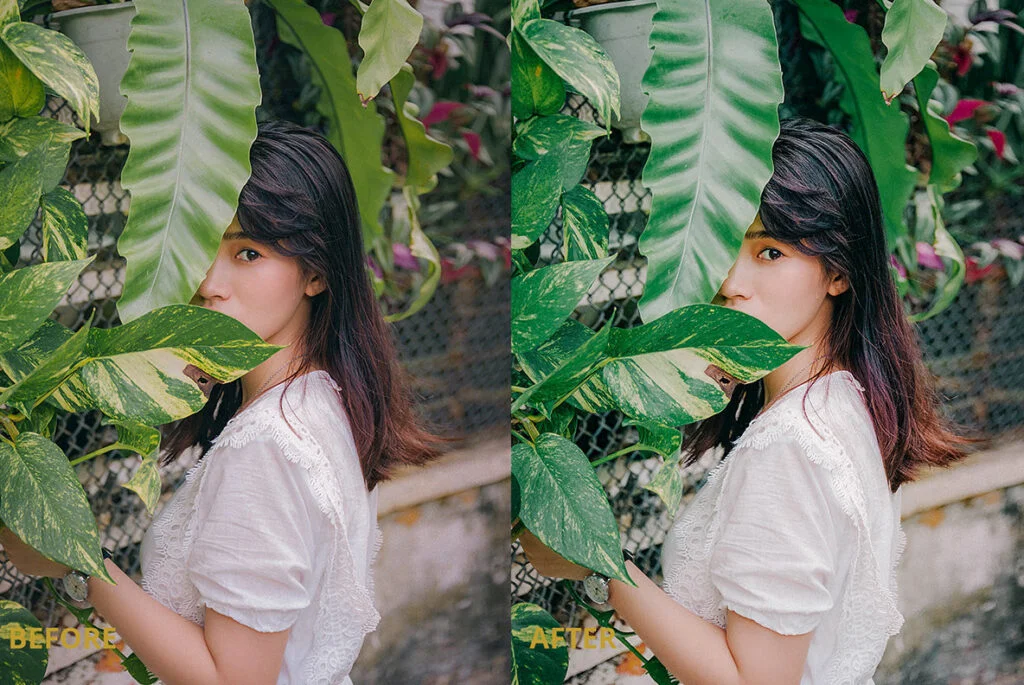 E4491_02.jpg E4491_02.jpg