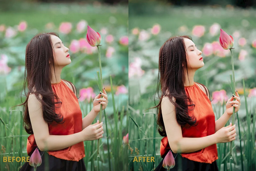 E4491_03.jpg E4491_03.jpg