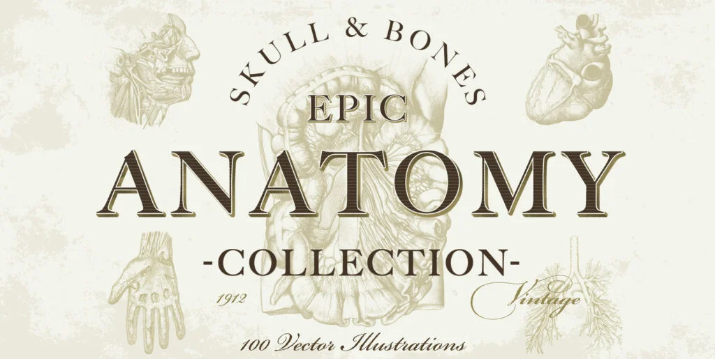 100 Vintage Anatomy Vector Illustrations Graphics - Image 1