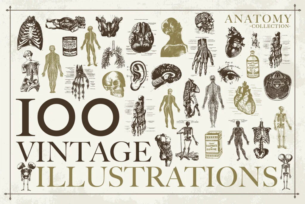 E4494_01.jpg E4494_01.jpg