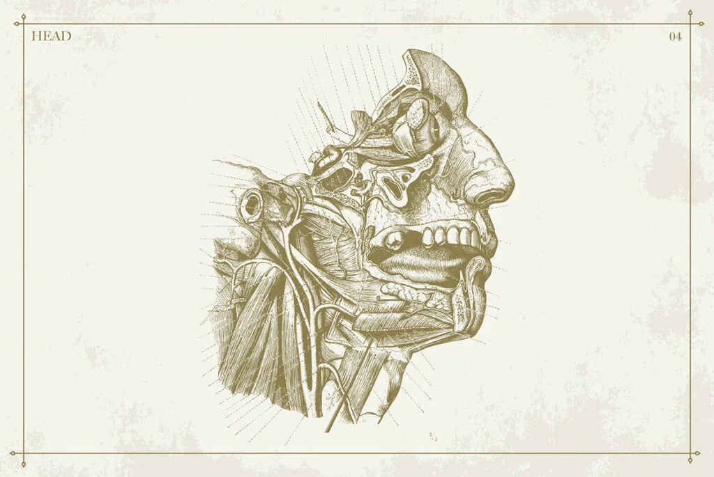 E4494_02.jpg E4494_02.jpg