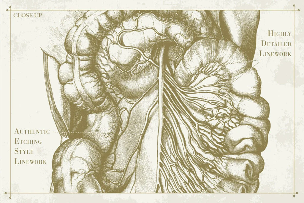 E4494_03.jpg E4494_03.jpg