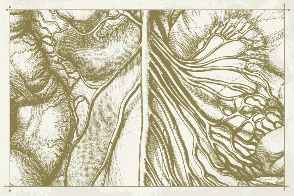 E4494_04.jpg E4494_04.jpg