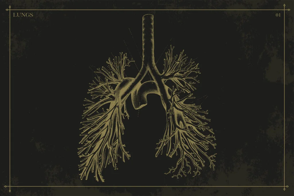 E4494_05.jpg E4494_05.jpg