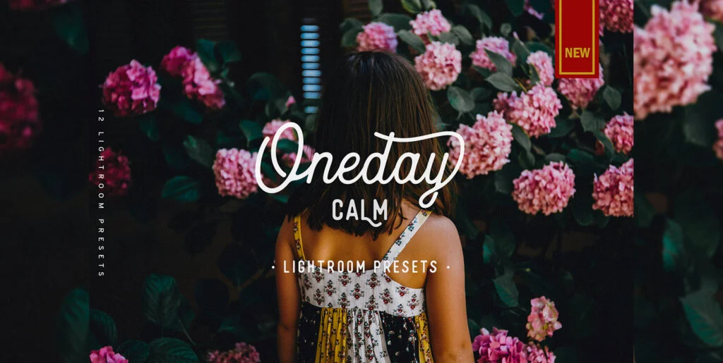 Oneday Calm Lightroom Preset Graphics - Image 1