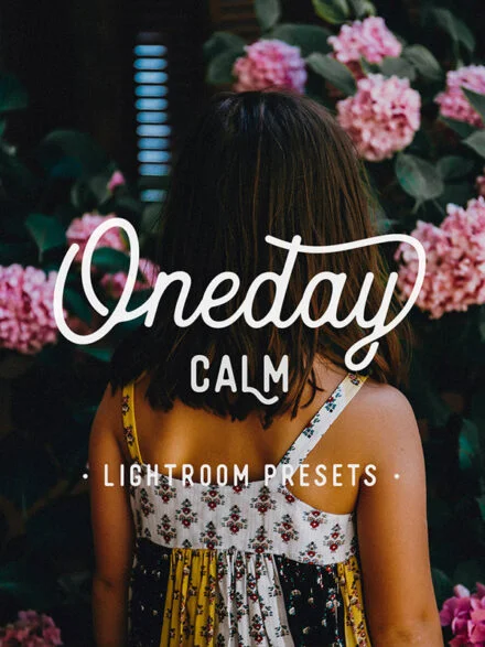 Oneday Calm Lightroom Preset Graphics - Image 8