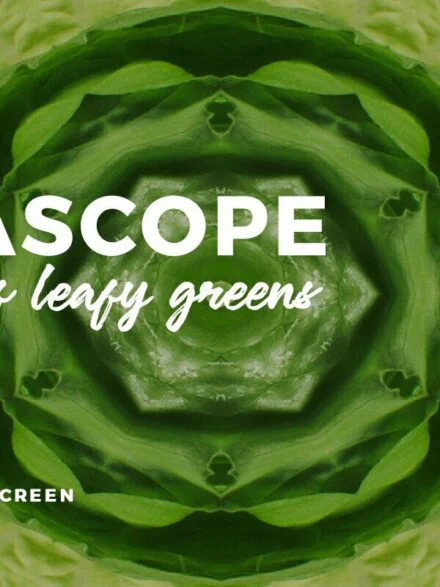 Hypnascope Graphics - Image 6