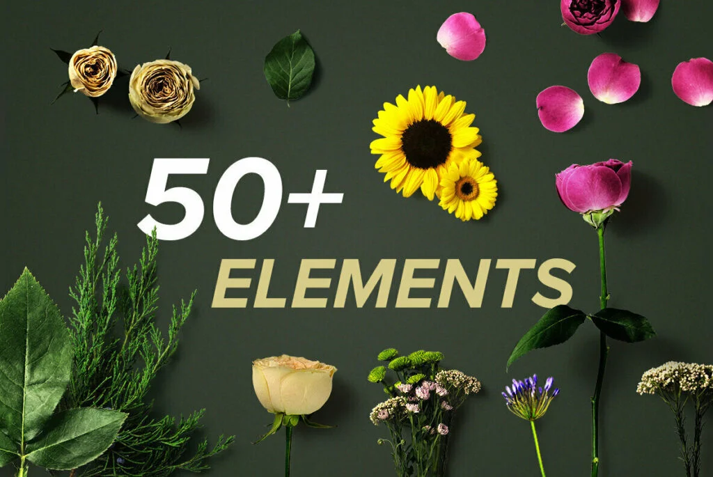 E4582_01.jpg E4582_01.jpg