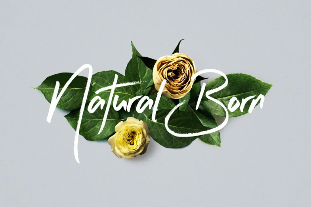 E4582_02.jpg E4582_02.jpg