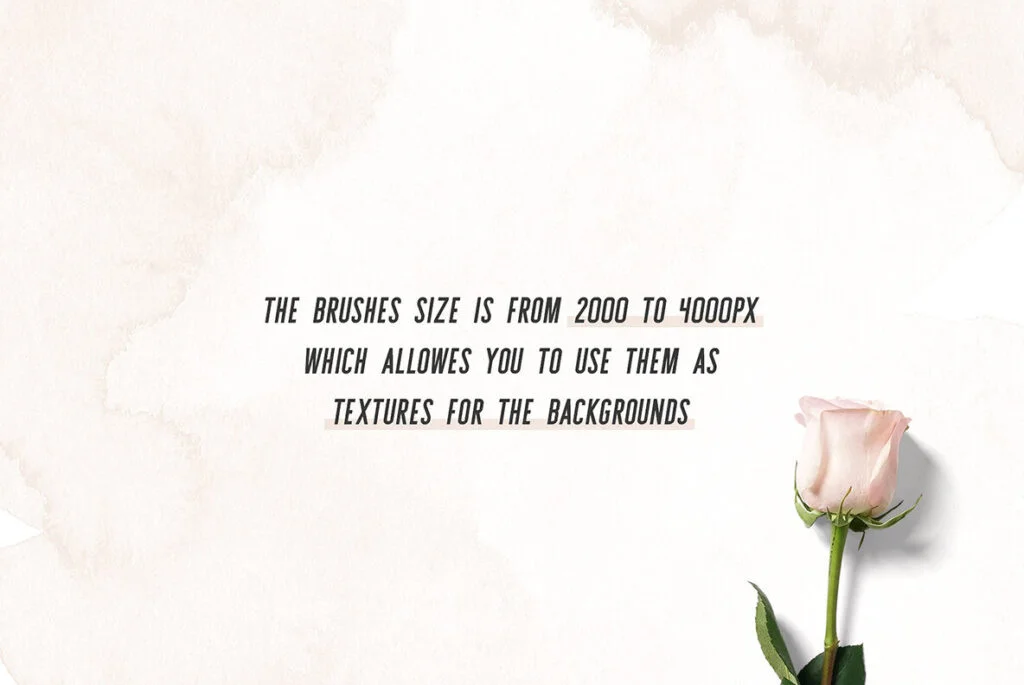 E4609_05.jpg E4609_05.jpg