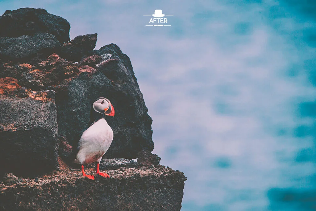 E4624_03.jpg E4624_03.jpg