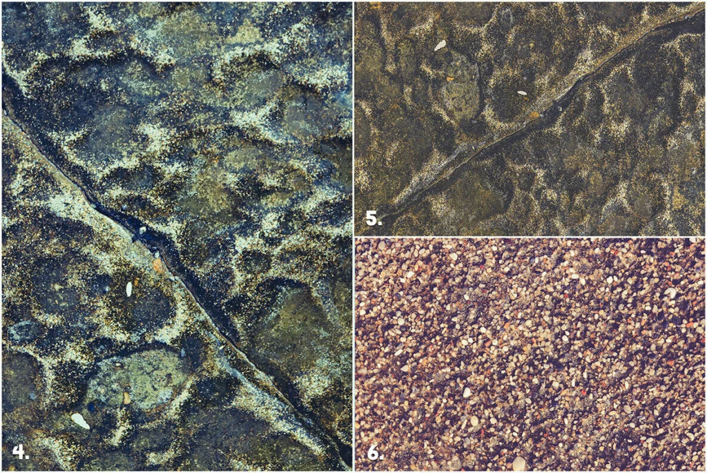 E4663_02.jpg E4663_02.jpg