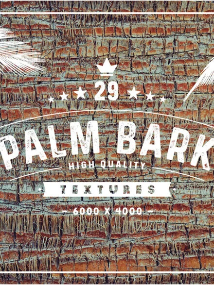 29 Palm Bark Textures Graphics - Image 4