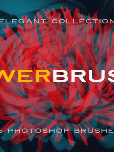 Elegant Flower Brushes for Photoshop Graphics - Image 1
