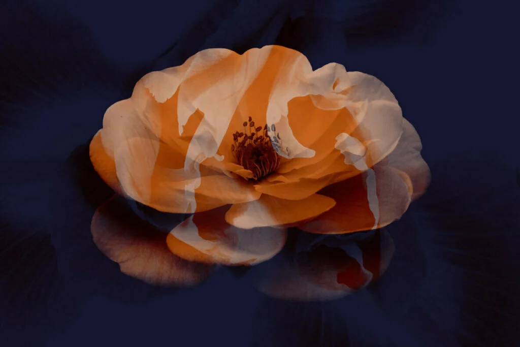 E4689_01.jpg E4689_01.jpg