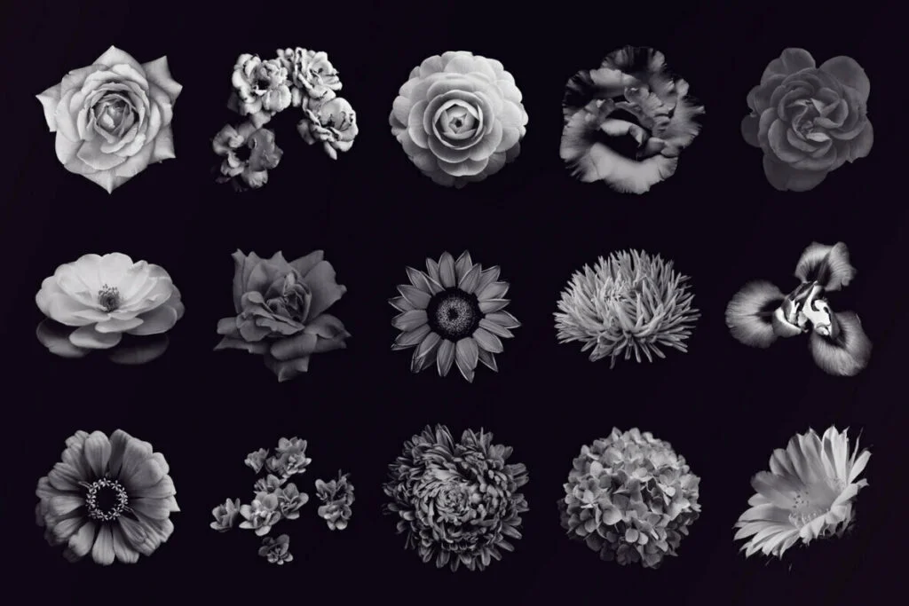 E4689_02.jpg E4689_02.jpg