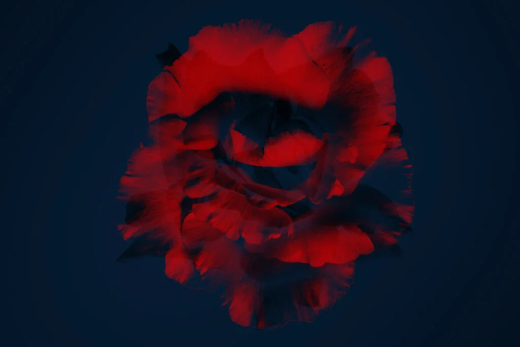 E4689_05.jpg E4689_05.jpg