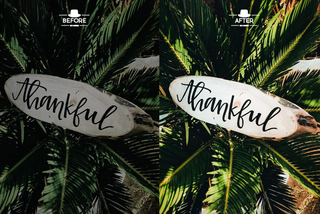 E4701_05.jpg E4701_05.jpg