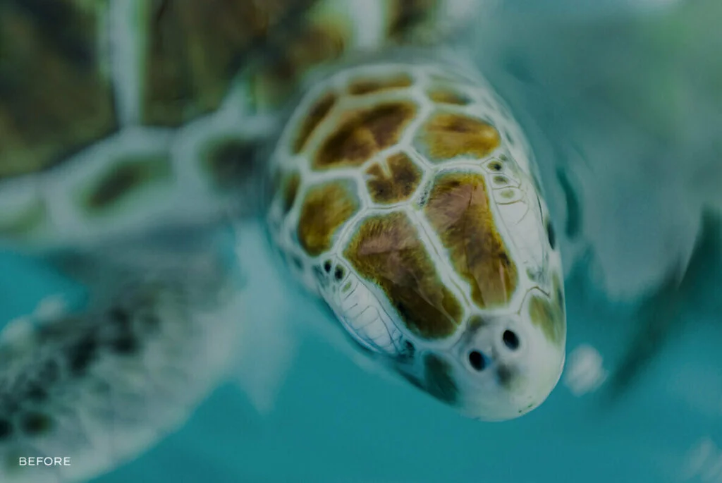 E4704_02.jpg E4704_02.jpg