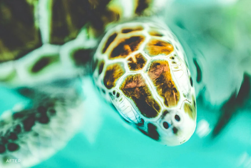 E4704_03.jpg E4704_03.jpg