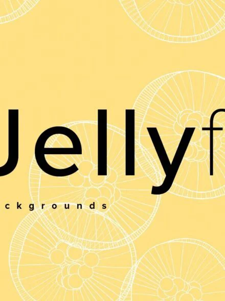 Jellyfish Backgrounds Graphics - Image 1