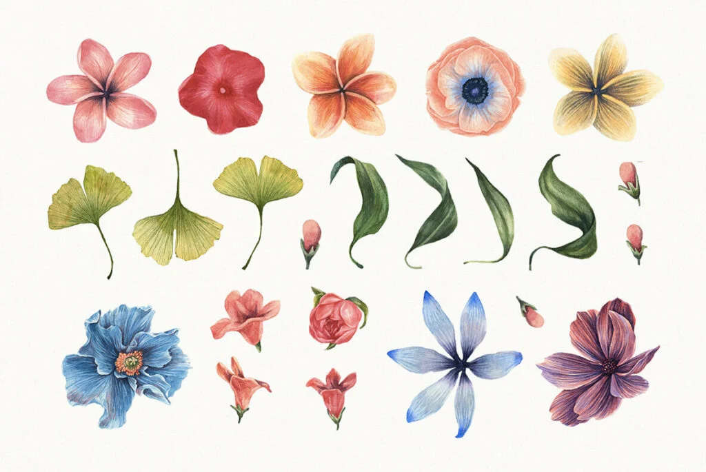 E4772_04.jpg E4772_04.jpg