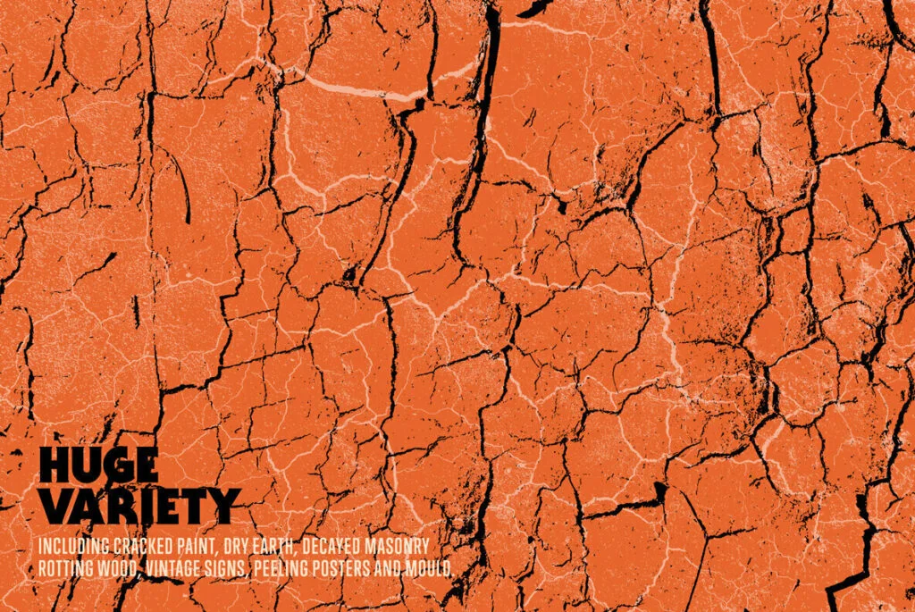 E4869_01.jpg E4869_01.jpg