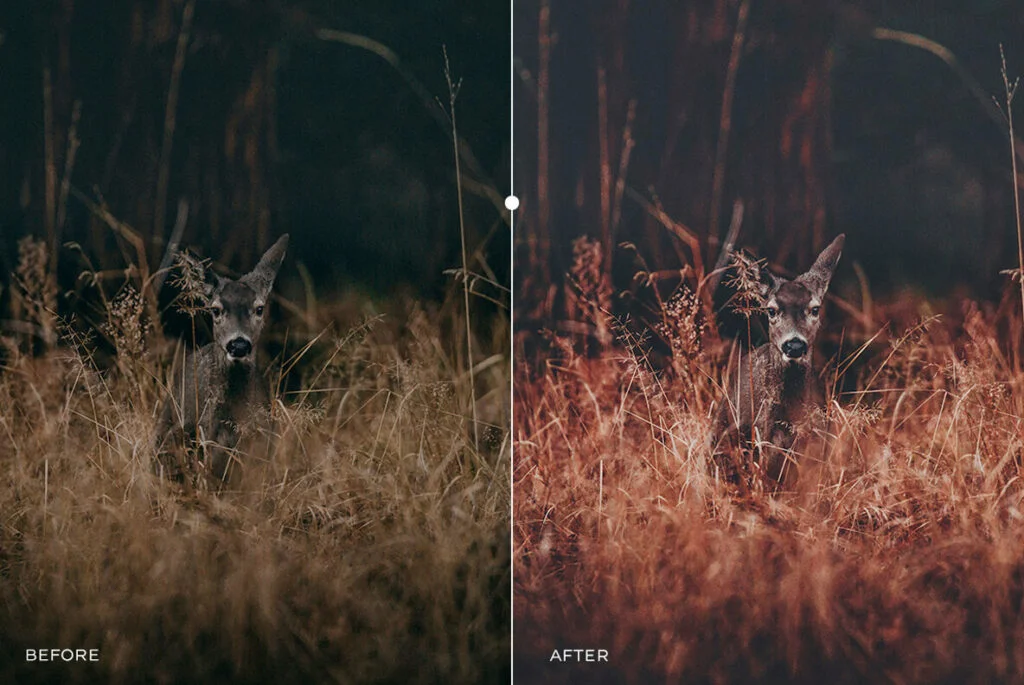 E4891_03.jpg E4891_03.jpg