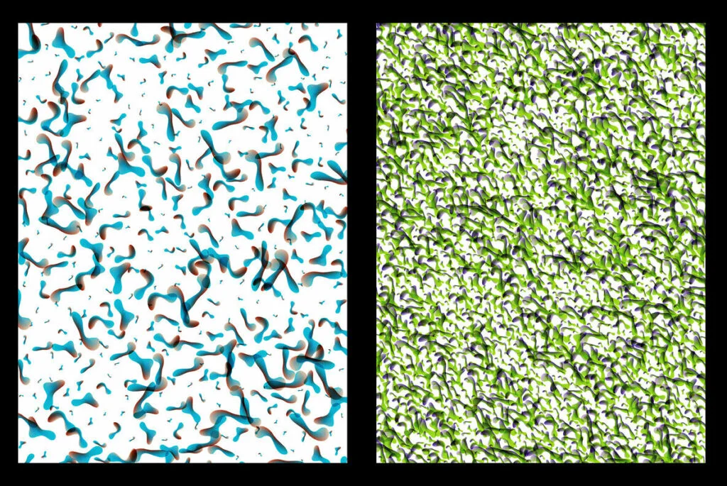 E4940_04.jpg E4940_04.jpg