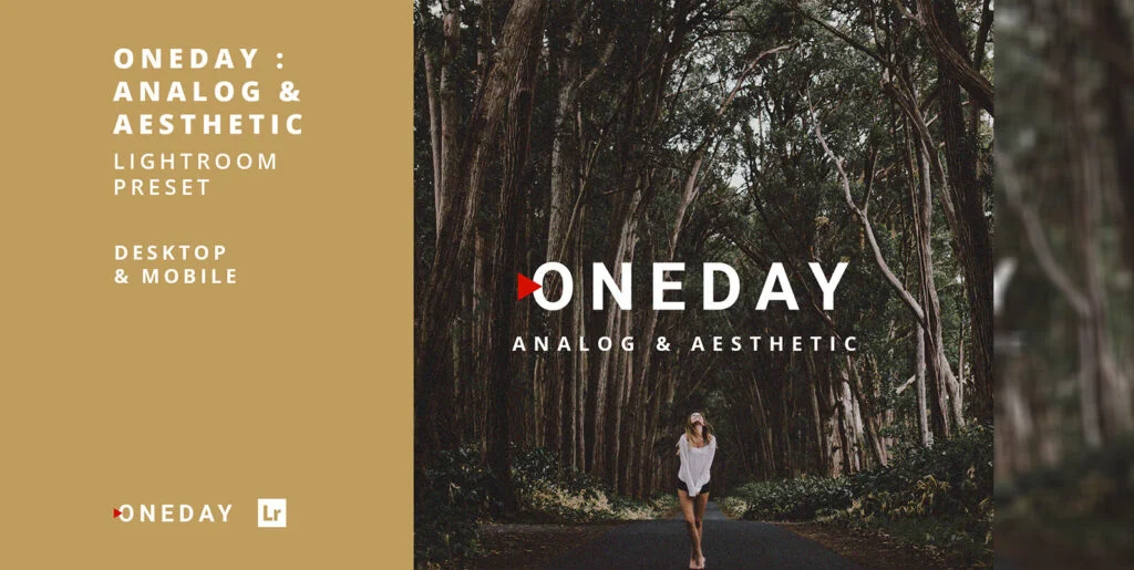 Oneday Analog & Aesthetic Lightroom Presets Graphics - Image 2