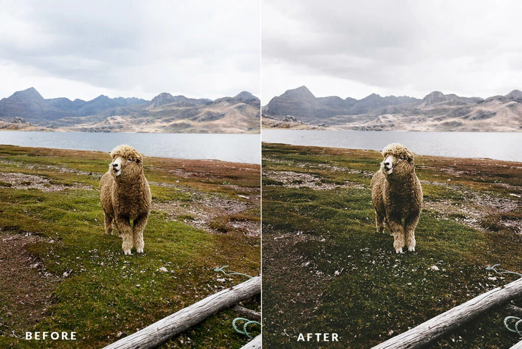 E4941_04.jpg E4941_04.jpg