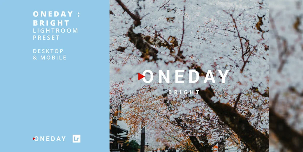 Oneday Bright Lightroom Presets Graphics - Image 2
