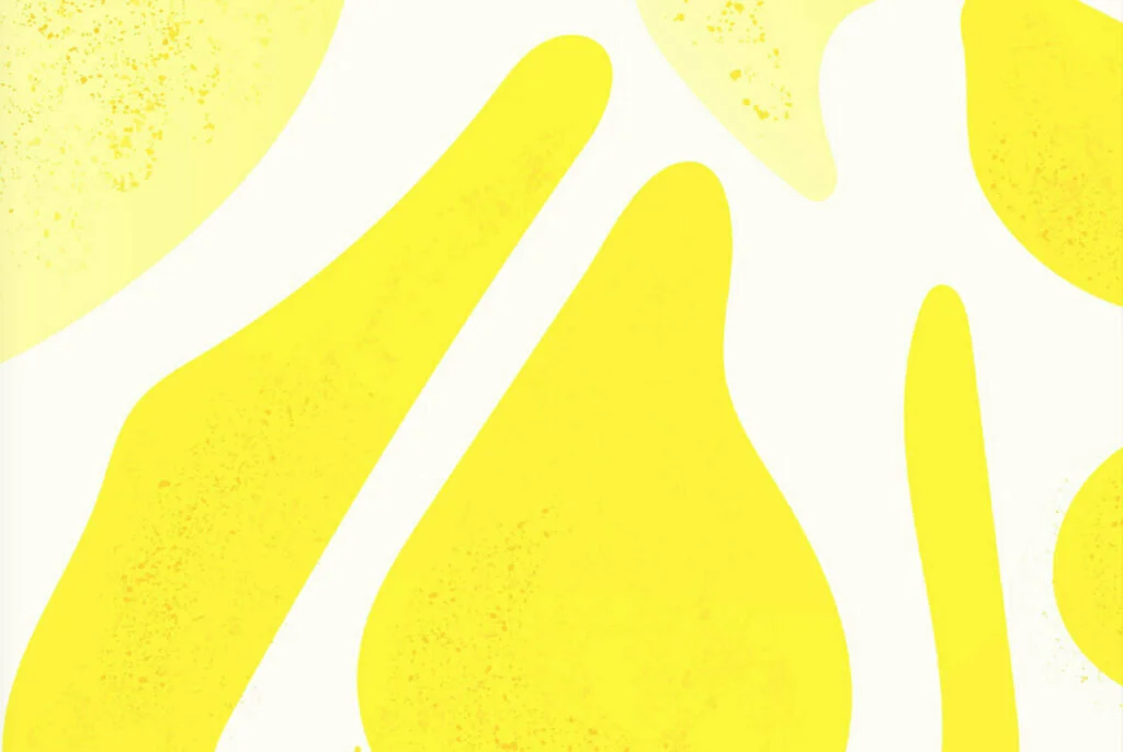 E4980_01.jpg E4980_01.jpg