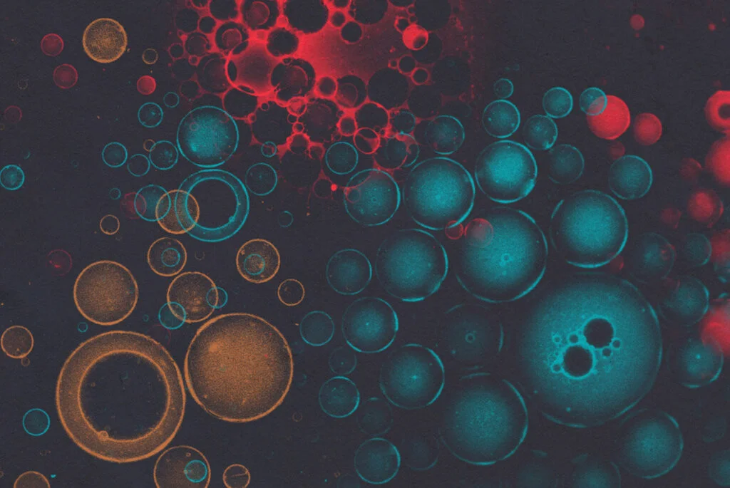 E3934_04.jpg E3934_04.jpg